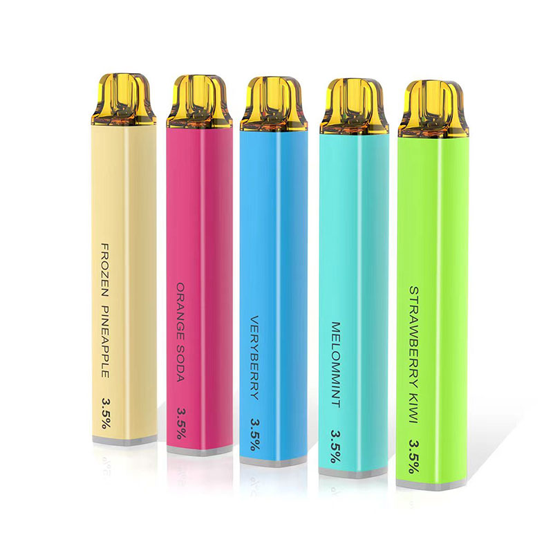 600 Puffs Disposable Vape